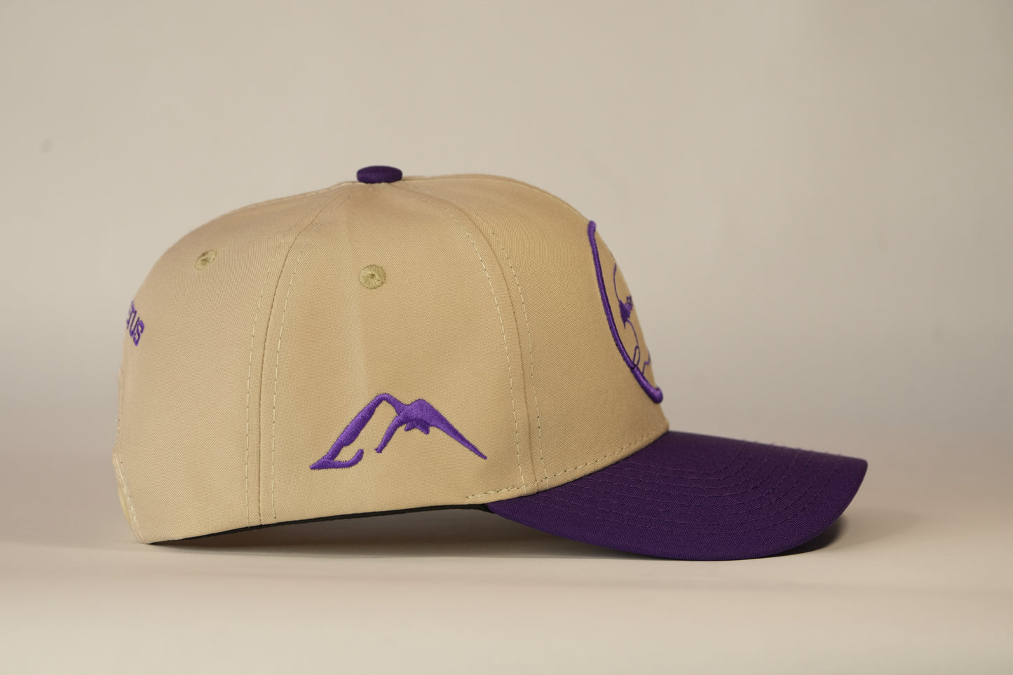 Gorra Spizaetus clásica - Morada y beige