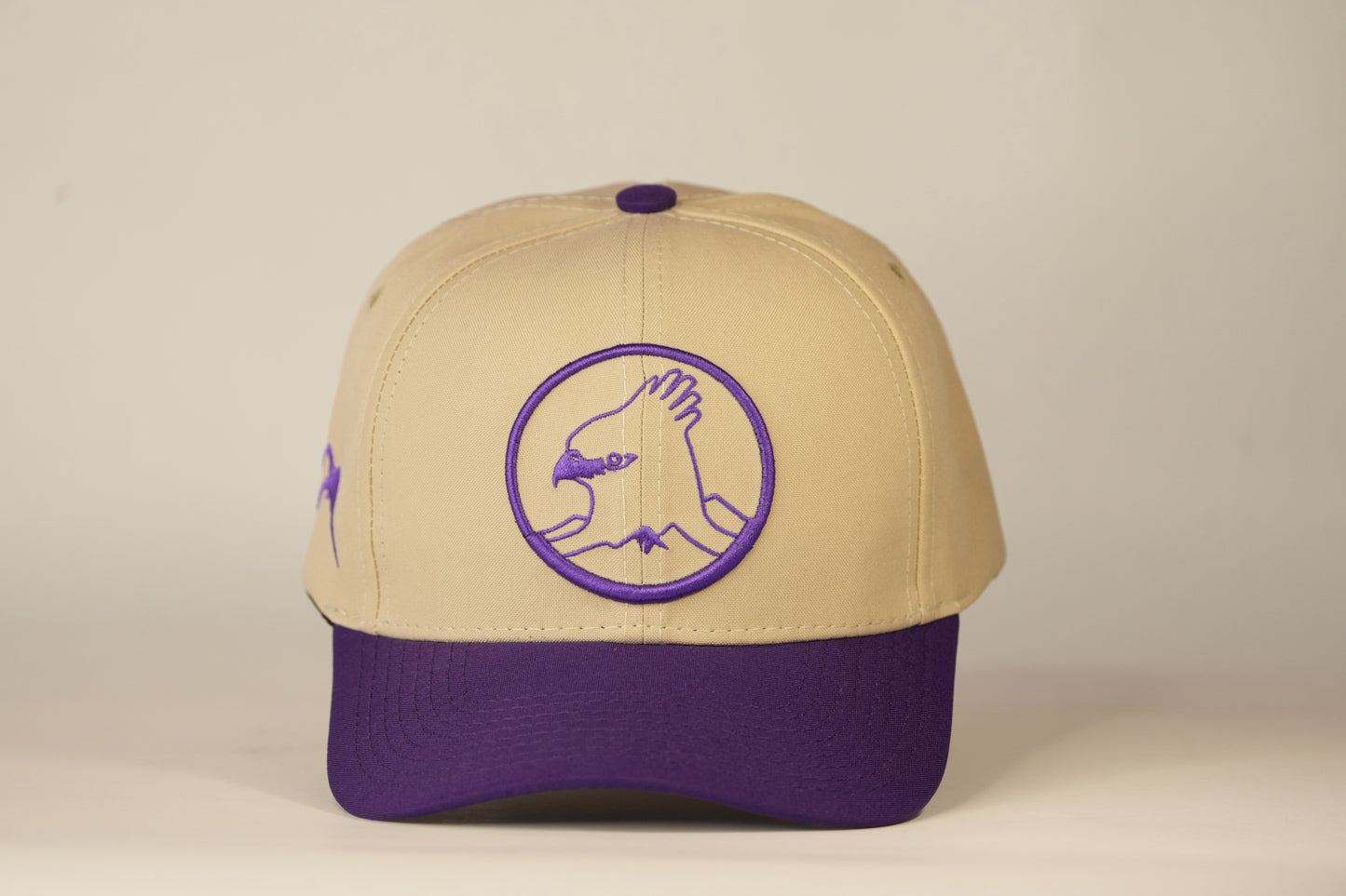 Gorra Spizaetus clásica - Morada y beige