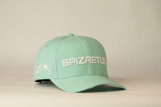 Gorra Spizaetus en relieve- verde menta