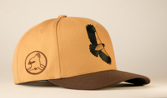 Gorra vuelo del águila real de montaña - Cafe y beige