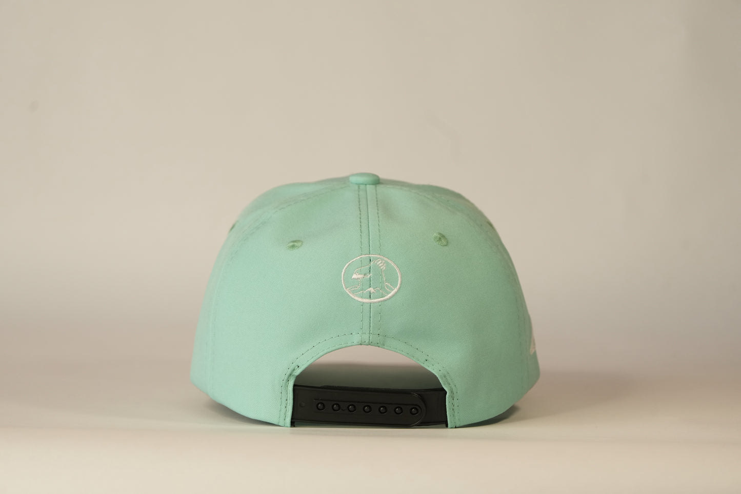 Gorra Spizaetus en relieve- verde menta