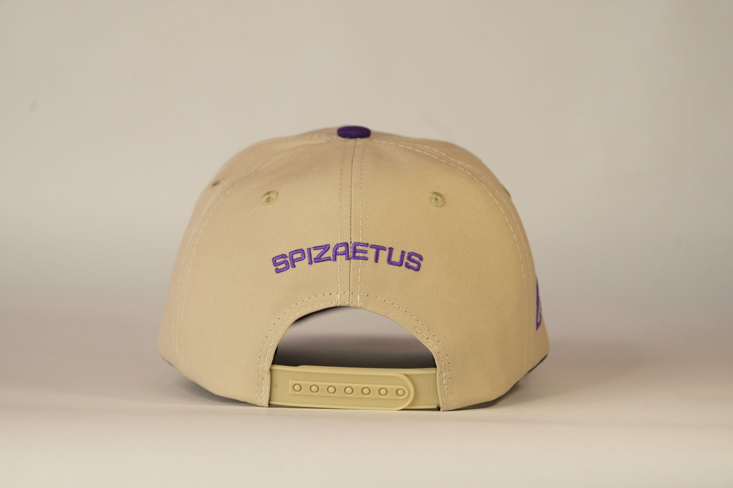 Gorra Spizaetus clásica - Morada y beige