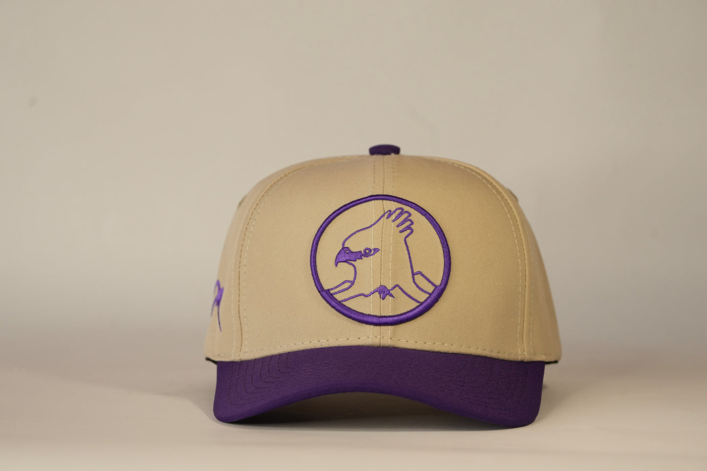 Gorra Spizaetus clásica - Morada y beige