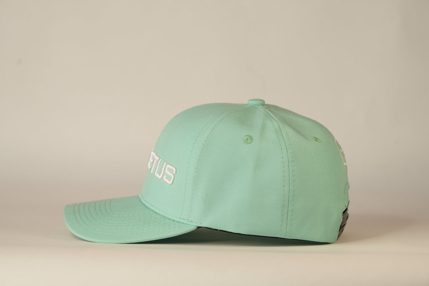Gorra Spizaetus en relieve- verde menta