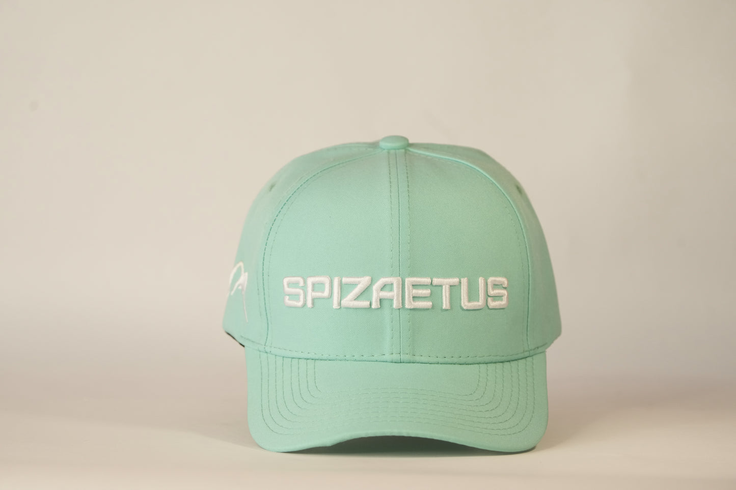 Gorra Spizaetus en relieve- verde menta
