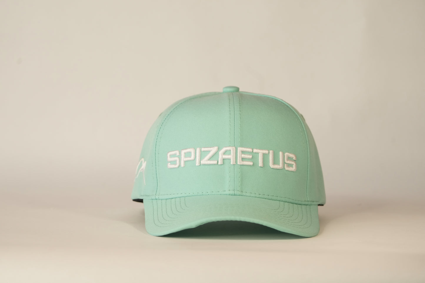 Gorra Spizaetus en relieve- verde menta