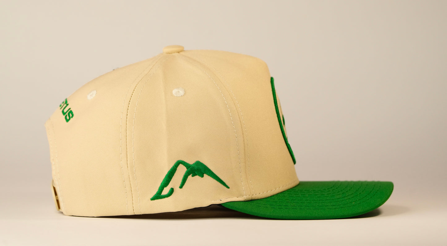 Gorra Spizaetus clasica - verde y beige