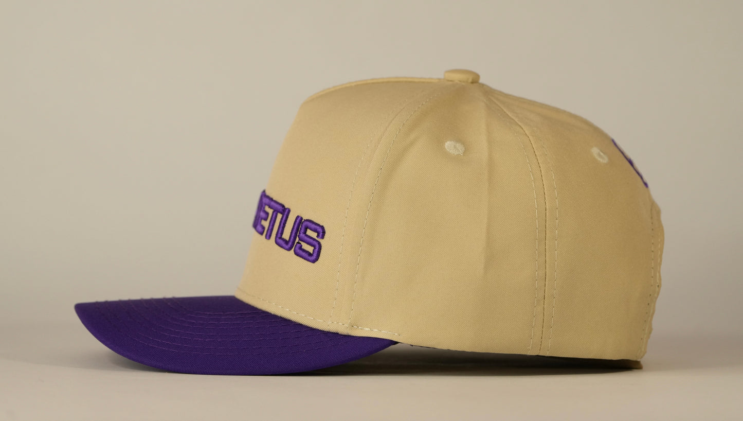 Gorra Spizaetus en relieve - morada y beige