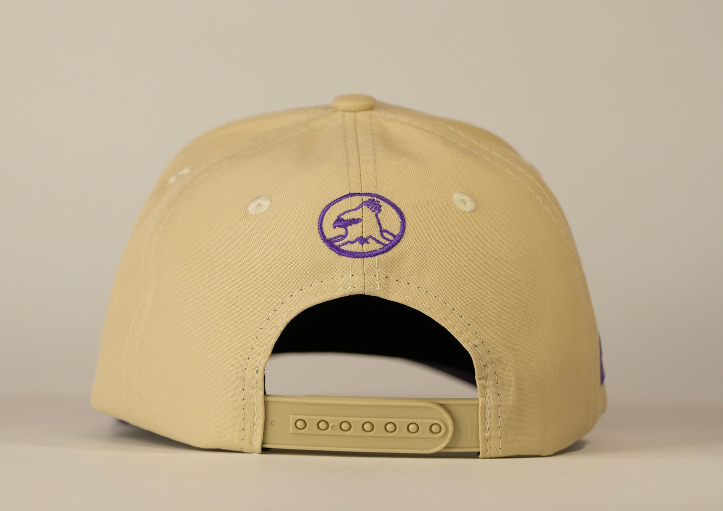 Gorra Spizaetus en relieve - morada y beige