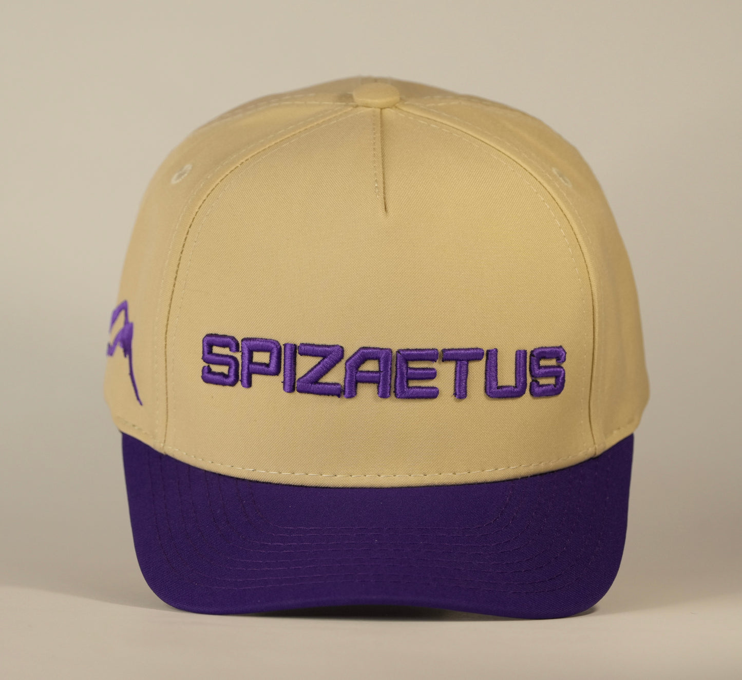 Gorra Spizaetus en relieve - morada y beige