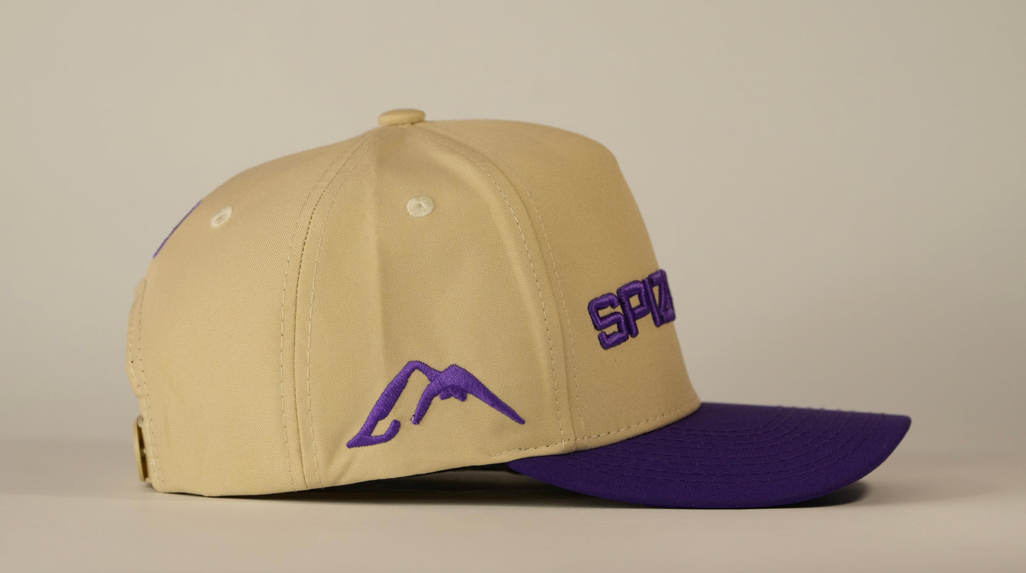 Gorra Spizaetus en relieve - morada y beige