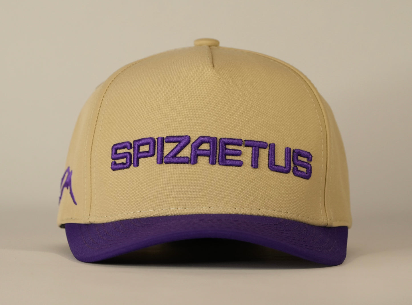 Gorra Spizaetus en relieve - morada y beige